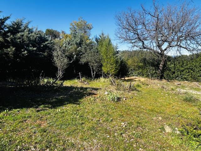 Vente Terrain 532 m2 Le Thoronet