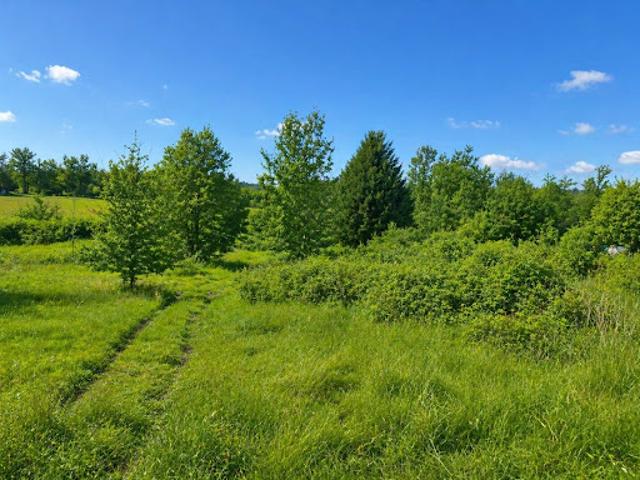 Vente Terrain 5336 m2 Saint Vincent Jalmoutiers