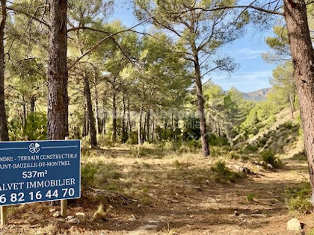 Vente Terrain 537 m2 Saint Bauzille de Montmel