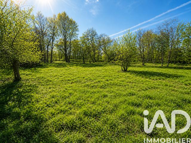 Vente Terrain 5340 m2 Louchats