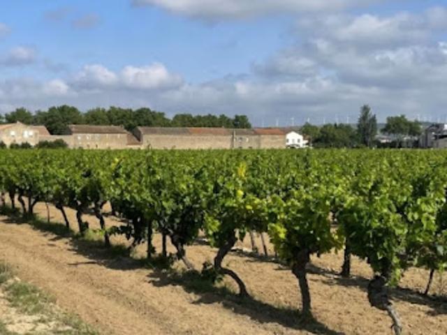 Vente Terrain 534 m2 Canet
