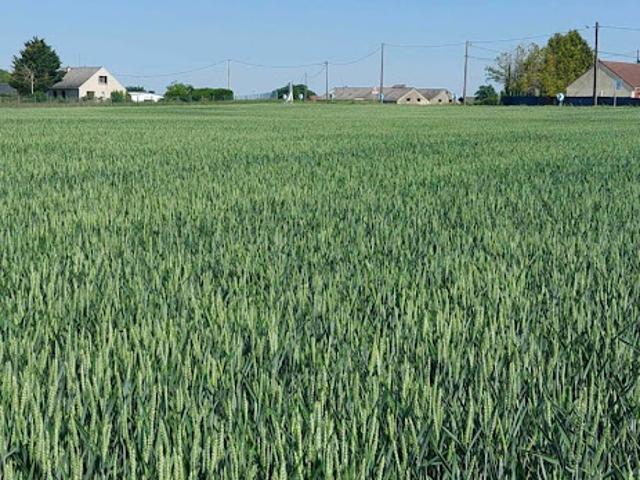 Vente Terrain 534 m2 Puiseaux