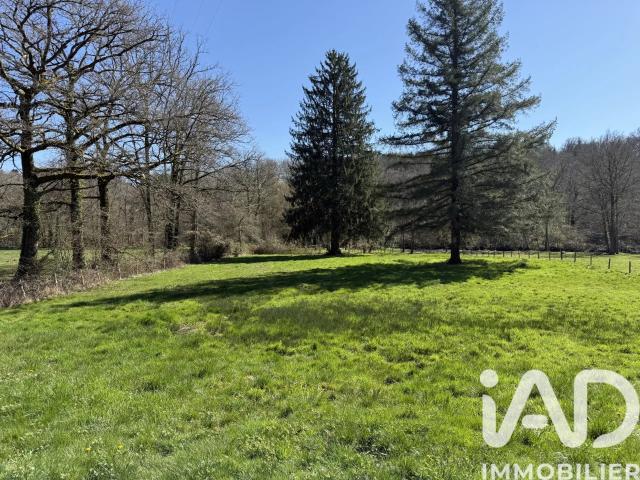 Vente Terrain 5 000 m²