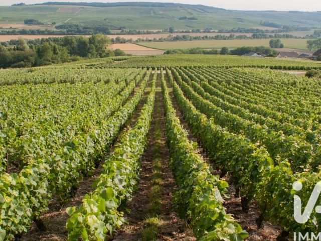 Vente Terrain 5 023 m²