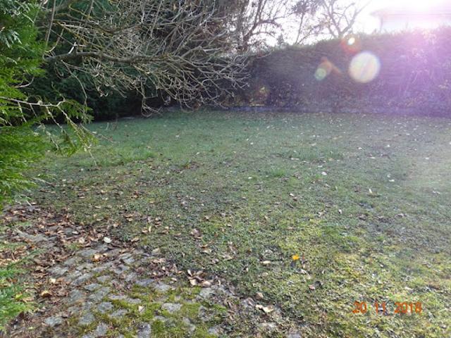 Vente Terrain 643 m2 Farschviller