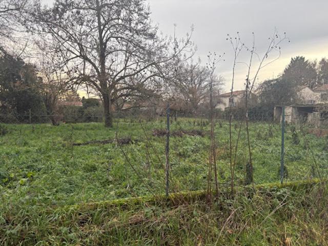 Vente Terrain 640 m2 Villemur sur Tarn