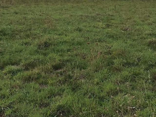 Vente Terrain 640 m2 Giel Courteilles