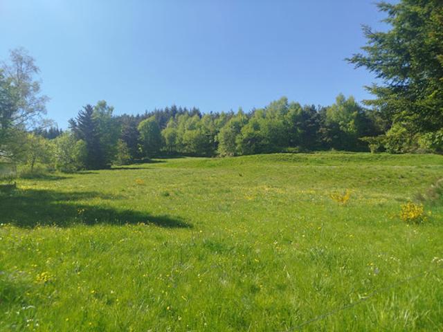 Vente Terrain 6438 m2 Chaudeyrac