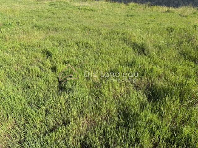 Vente Terrain 646 m2 Talmont Saint Hilaire