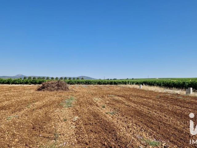 Vente Terrain 648 m²