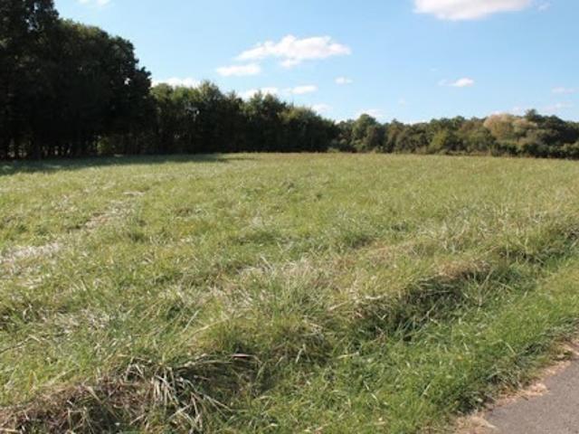 Vente Terrain 653 m2 Selongey