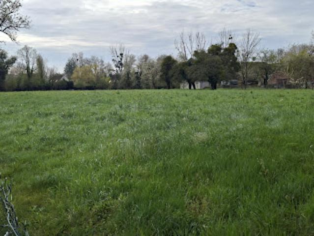 Vente Terrain 6500 m2 Dhuys et Morin en Brie