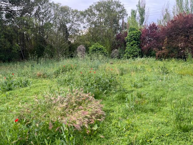 Vente Terrain 650 m2 Allauch