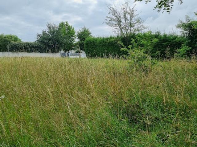 Vente Terrain 650 m2 Blanquefort