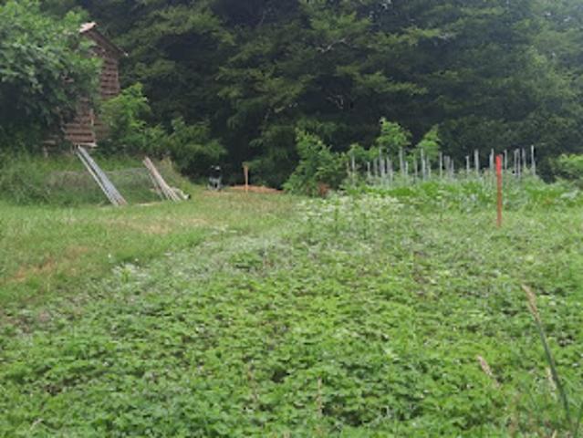 Vente Terrain 650 m2 Haux