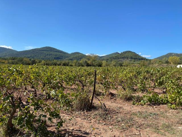 Vente Terrain 650 m2 Le Castellet