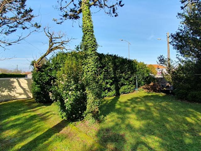 Vente Terrain 650 m2 Saujon