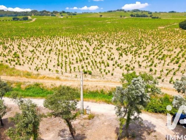 Vente Terrain 650 m²
