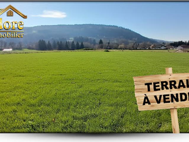 Vente Terrain 6536 m2 Granges Aumontzey