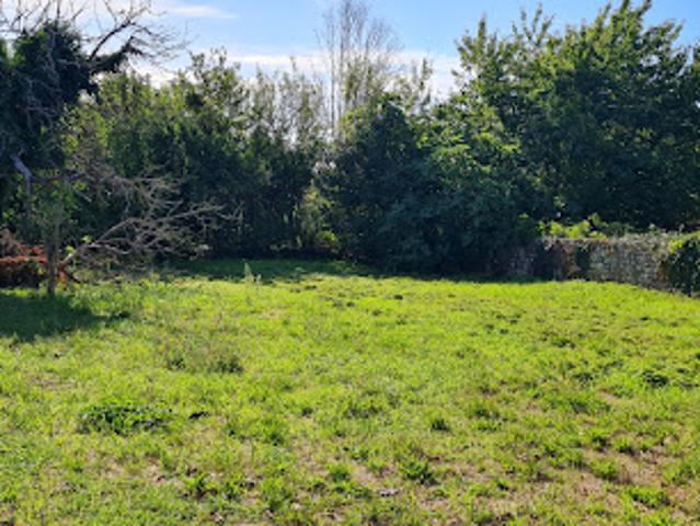 Vente Terrain 654 m2 Saint Savinien