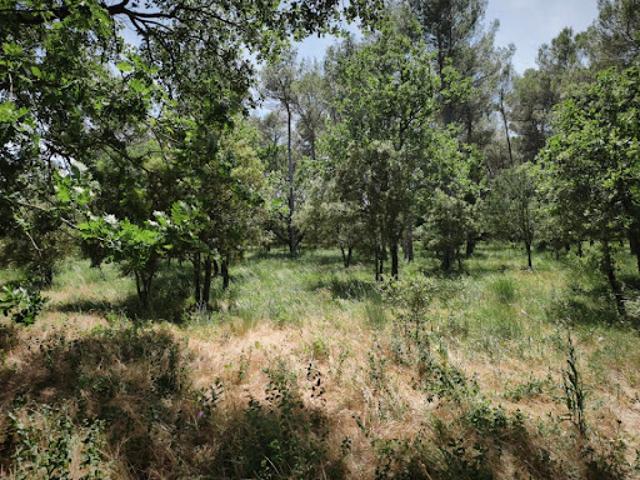 Vente Terrain 655 m2 Garéoult