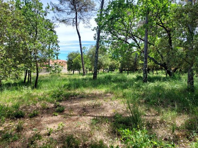 Vente Terrain 655 m2 Garéoult