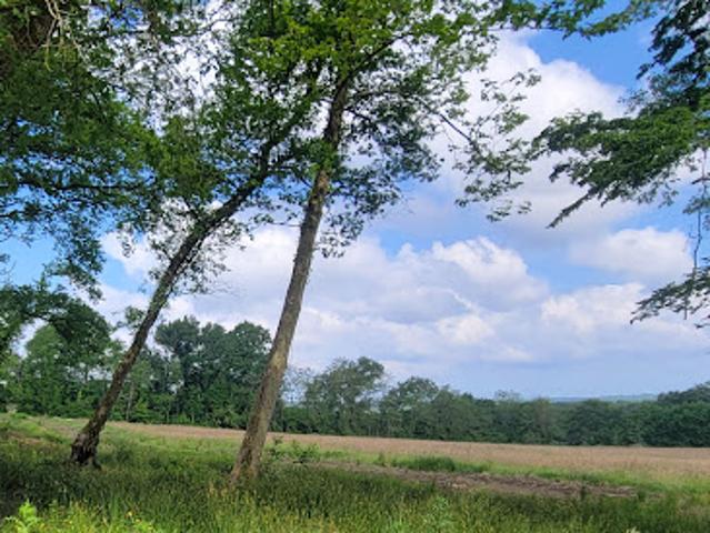Vente Terrain 656 m2 Dax