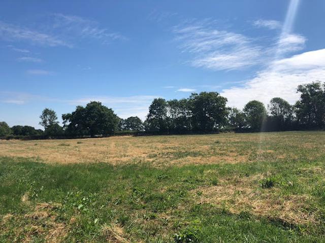 Vente Terrain 6598 m2 Haut Bocage