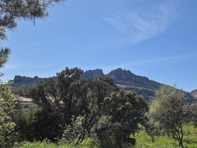 Vente Terrain 662 m2 Roquebrune sur Argens