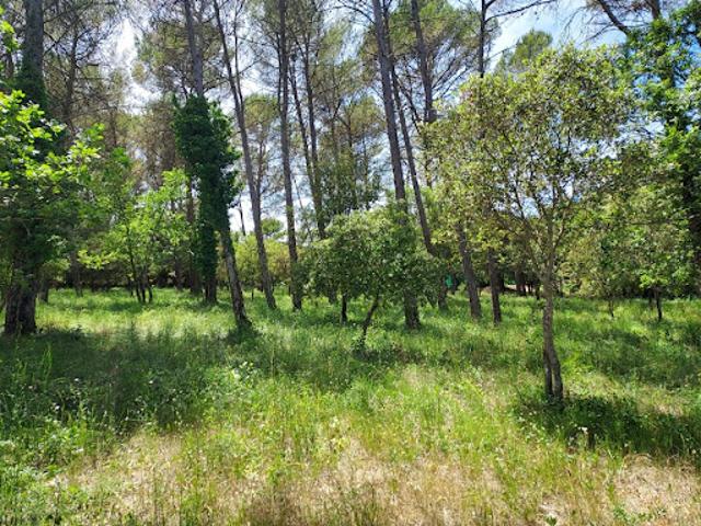 Vente Terrain 664 m2 Garéoult