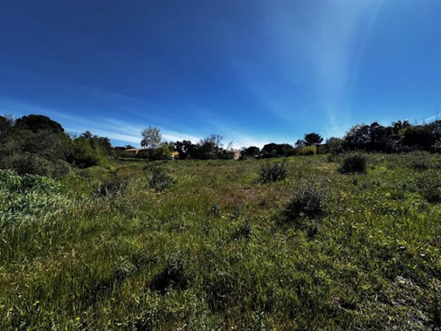 Vente Terrain 665 m2 Roquebrune sur Argens