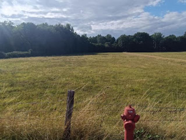Vente Terrain 6704 m2 Luxeuil les Bains