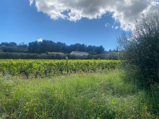 Vente Terrain 670 m2 Ginestas