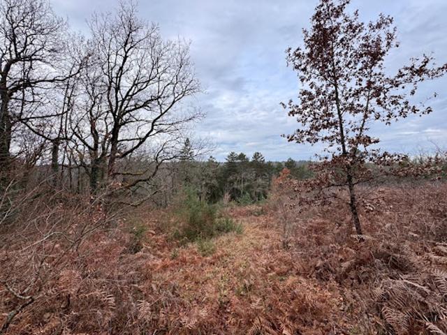 Vente Terrain 6721 m2 Perigueux