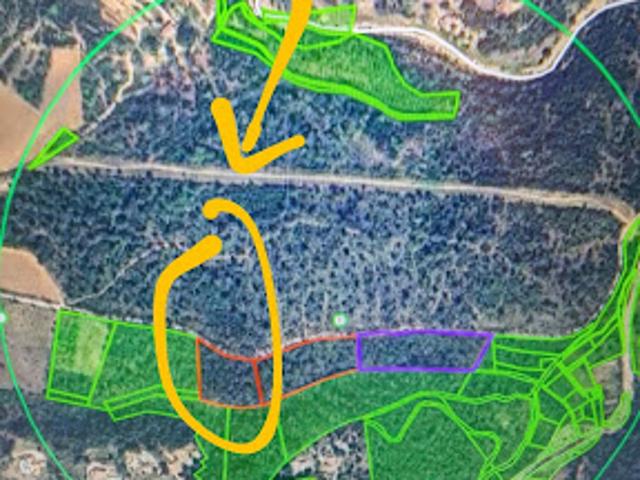 Vente Terrain 6725 m2 Lorgues