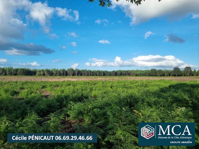 Vente Terrain 672 m2 Laluque