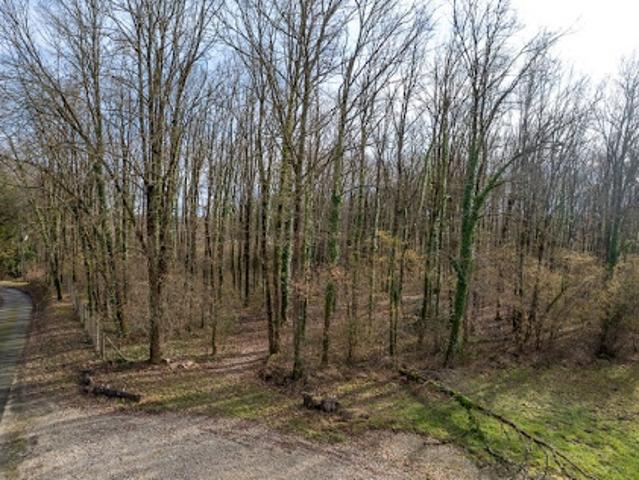 Vente Terrain 6783 m2 Thénioux