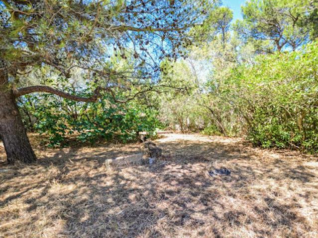 Vente Terrain 683 m2 Villeneuve les avignon