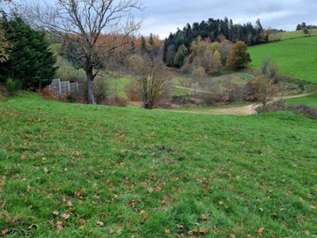 Vente Terrain 6800 m2 Saint Didier en Velay