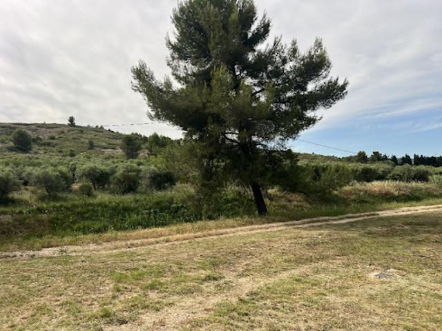 Vente Terrain 680 m2 Eyguières