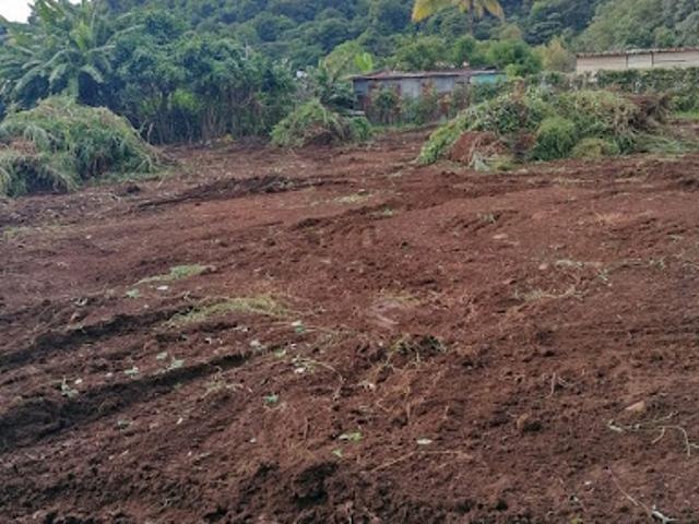 Vente Terrain 6826 m2 Gourbeyre