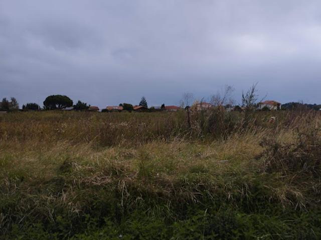 Vente Terrain 684 m2 Joze