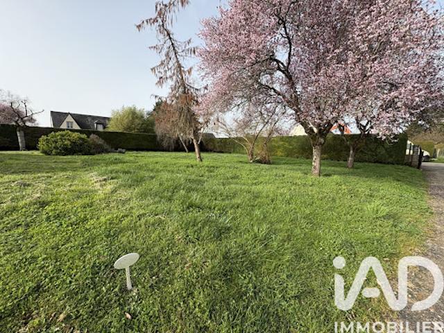 Vente Terrain 685 m2 Turquant