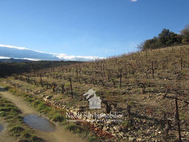 Vente Terrain 6890 m2 Lansac