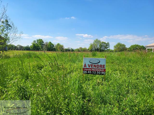 Vente Terrain 693 m2 Saint Etienne sur Reyssouze