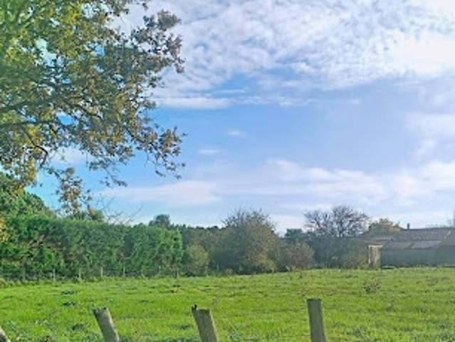 Vente Terrain 691 m2 Saujon