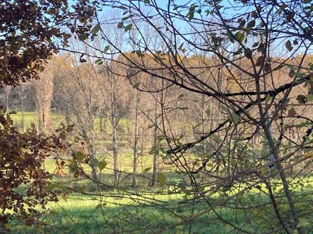 Vente Terrain 6950 m2 Meyssac
