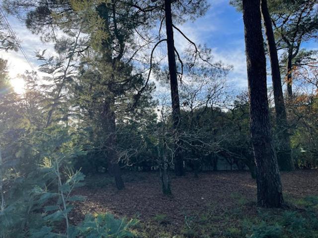 Vente Terrain 695 m2 Lacanau