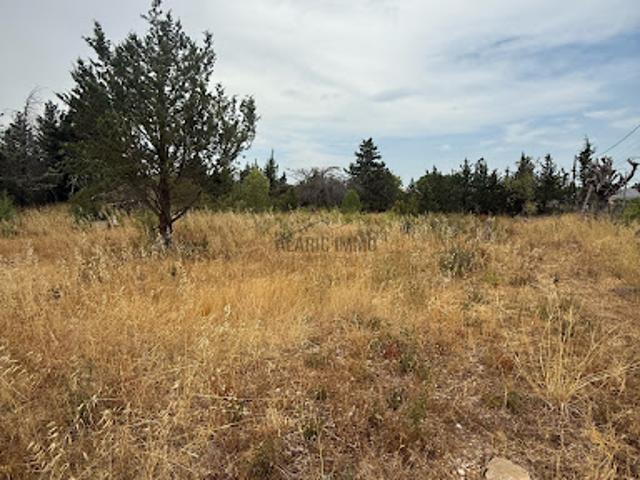 Vente Terrain 696 m2 Ferrals les Corbières