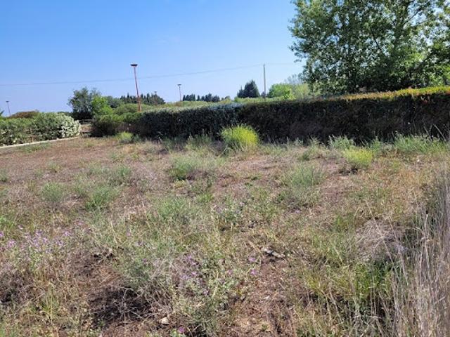 Vente Terrain 698 m2 Toulouges